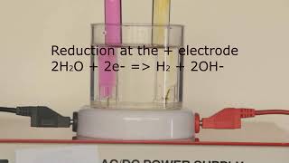 Leaving Cert Chemistry  Electrolysis of Potassium Iodide KI [upl. by Floeter114]