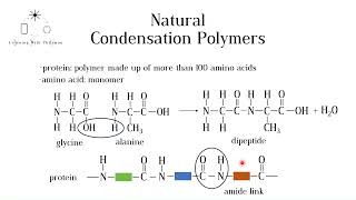 Natural Condensation Polymers Proteins and Carbohydrates GCSE Chemistry [upl. by Rats]