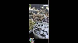 Rosalia Catud Vlog is liveMapagpalang Gabi sa lahatDried fish yummy [upl. by Valeta]