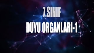 7Sınıf Duyu Organları1 [upl. by Adorl208]