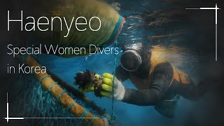 Women of the Sea Stories of Koreas Haenyeo Divers [upl. by Ahsinac]