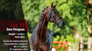 Auktionsfestival Lot 17 Dom Pérignon Hengst v Dynamic Dream  Cascadello I [upl. by Meehyr706]