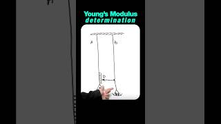 Searles Apparatus Experiment for Young Modulus [upl. by Aneis]