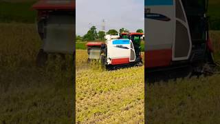 kubota DR120 harvester machines 😀😀 shorts kubota harvester [upl. by Betthezul]