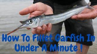 The Quickest Methods for Filleting Garfish 2 Ways [upl. by Delisle31]