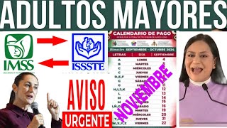 🎉quot3quot PAGOS ADELANTAN PENSIÓN 🇺🇲ADULTOS MAYORES 65 Y MÁS IMSS ISSSTE 🎁 [upl. by Nemraciram536]