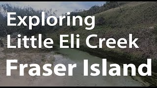 Exploring Little Eli Creek on Fraser Island  Wyuna Creek Closer to Orchid Beach  All About Fraser [upl. by Orian]