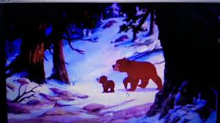 Brother Bear 2  Moosettes Scene 2 English 🐻 [upl. by Bibah]