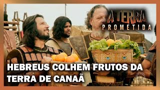 Hebreus colhem os frutos da terra de CanaÃ£  A TERRA PROMETIDA [upl. by Nordgren]