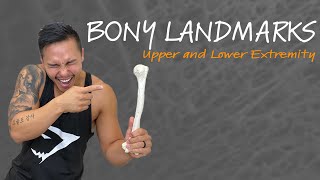 Bony Landmarks of the Body Palpation [upl. by Ewolram]