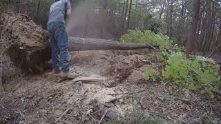 Excavator Clearing New Driveway by Andrew Camarata [upl. by Raphaela]