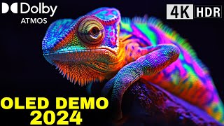 OLED DEMO 2024 in Dolby Atmos and HDR Dolby Vision 4k ultra HD [upl. by Sibel]