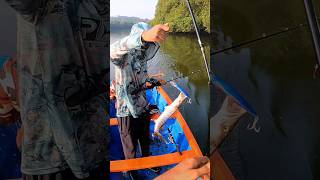 ഇവൻ കടിച്ചാൽ തീർന്നു😧😨  Mangrove Jacks Fishing  Village Fishing Videos  Fishing Videos  Virals [upl. by Dnalevelc424]