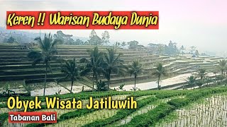 Obyek Wisata Jatiluwih Bali  Warisan Budaya Dunia UNESCO [upl. by Aihseym479]