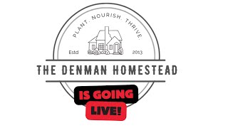 The Denmans Are Going Live 6pm CST [upl. by Hcirdeirf]