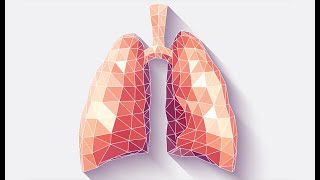 Physiology  Respiration  lecture 10  Types of hypoxia  April 1 2018  DrNagi  Arabic [upl. by Burck]