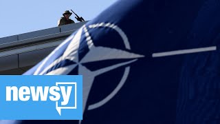 US to reduce contribution to NATO budget [upl. by Sheree]