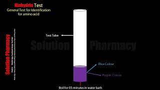 Ninhydrin Test  Identification Test of Amino acid  Chemical Test for Protein Animated Video Hindi [upl. by Eydie]