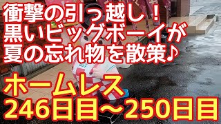 ホームレスが衝撃の引っ越し♪黒いビッグボーイ♪夏の忘れ物を散策♪新しい庭の紹介♪等【ホームレス246日目～250日目】 [upl. by Henn255]