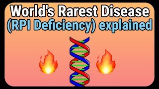 Ribose5phosphate isomerase deficiency RPI explained  How it is caused [upl. by Adnarem561]