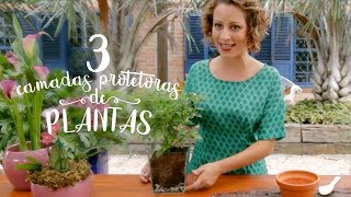 As 3 camadas que protegem as plantas em vaso [upl. by Averell]