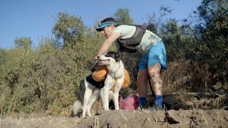 Un abogado y su perro impulsan el quotploggingquot a favor del reciclaje en Chile  AFP [upl. by Anyt]