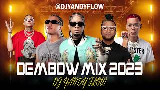 Dembow Mix 2023 Vol9 DJYANDY flow [upl. by Origra24]