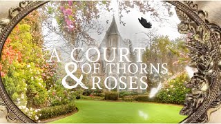 A Court of Thorns and Roses Spring Court  Reading Ambience [upl. by Kornher]