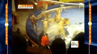 Circus Terror Caught on Tape [upl. by Siron]