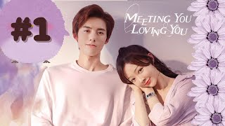 Meeting You  Season 1 Episode 1  Korean Drama  Hindi Dubbed [upl. by Ambrosane]