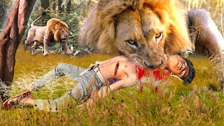 Lion attack buffalo in African forest  lion attack animal  lion attack video stories part32 [upl. by Rankin460]