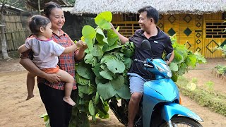 My husband goes to work I harvest kohlrabi to sell  enjoy family happiness [upl. by Hurwit978]