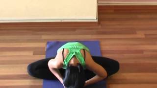 Yoga Stretching Exercises Beginners Flexibility Routine Part 22 [upl. by Lehacim]