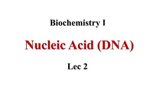 DNA Lec2 Biochemistry I [upl. by Leno]