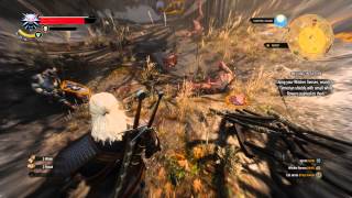 The Witcher 3 Wild Hunt  Missing In Action Shield Location Bastien amp Rhosyn Choice Sequence [upl. by Lyman]