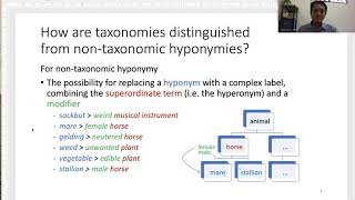 Lexical Relations  Taxonomy [upl. by Gypsie278]