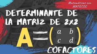 Método de cofactores  Determinantes de 2x2 [upl. by Nivrehs]