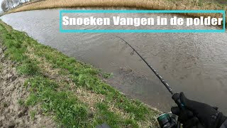 Snoek Vissen Met softbaits In De Polder [upl. by Kozloski79]