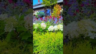 Colors for your garden flowers garden gardening [upl. by Xenophon934]