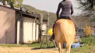 Reiten mit Skoliose [upl. by Penrod]