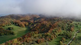 Automne à la Cascade de la Marmite [upl. by Neelrihs473]