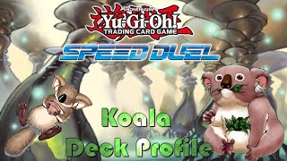 Speed Duel Koala Deck Profile  Midterm Paradox [upl. by Yahs763]