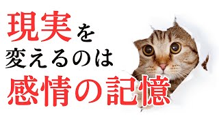 【意識を変えても現実が変わらない人】必見！現実変えたいなら感情の記憶を変える 感情の解放 [upl. by Hairom]