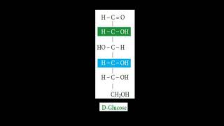 Epimers  Chemistry of Carbohydrate  Glucose Mannose Galactose [upl. by Zipah]