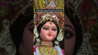 Jagaddhatri Puja Chandannagar theme Jurassic Park shorts jurassicpark viralvideo [upl. by Lurie]