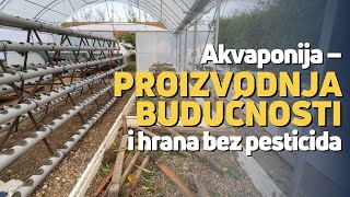 Akvaponija – proizvodnja budućnosti i hrana bez pesticida [upl. by Cantone]