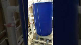 Mineralisation Tank Use Training Aquaponics [upl. by Eenhat]