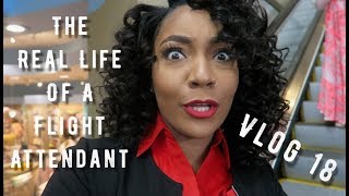 The quotReal Lifequot of a Flight Attendant  Vlog 18  120 DEGREES [upl. by Hanway]