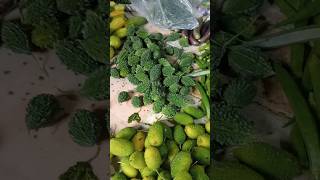 কাচা বাজারে আগুনলাগামহীন কাঁচাবাজার।bd vegetables price 2024 [upl. by Eliza]