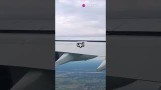 How Airplanes Fly [upl. by Alage]